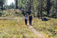 Två seniorer som vandrar på en skogsstig.